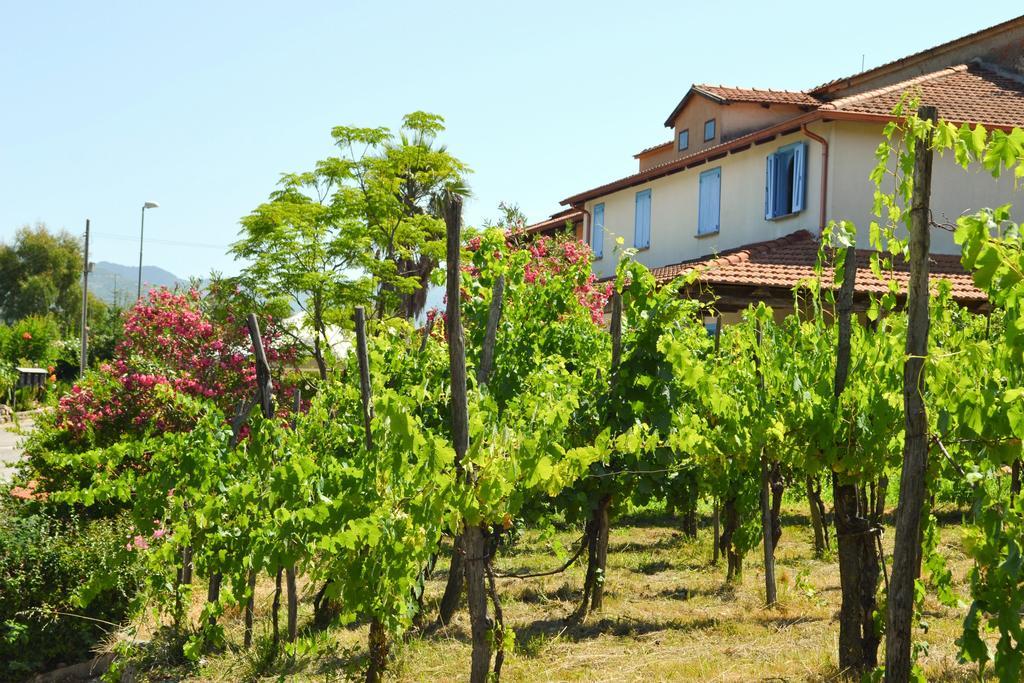 Bed and Breakfast Benvenuti Nel Sud Sessa Cilento Exterior foto