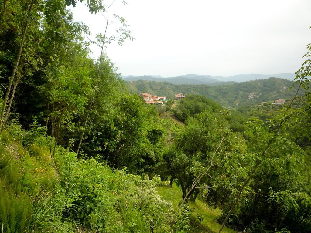 Bed and Breakfast Benvenuti Nel Sud Sessa Cilento Exterior foto