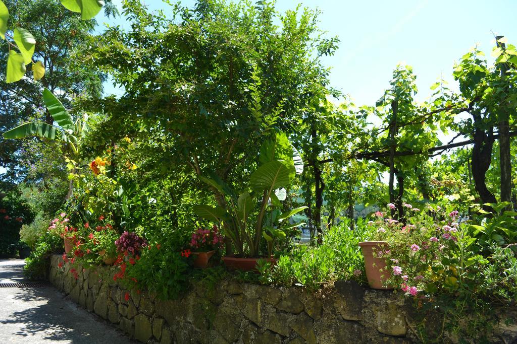 Bed and Breakfast Benvenuti Nel Sud Sessa Cilento Exterior foto