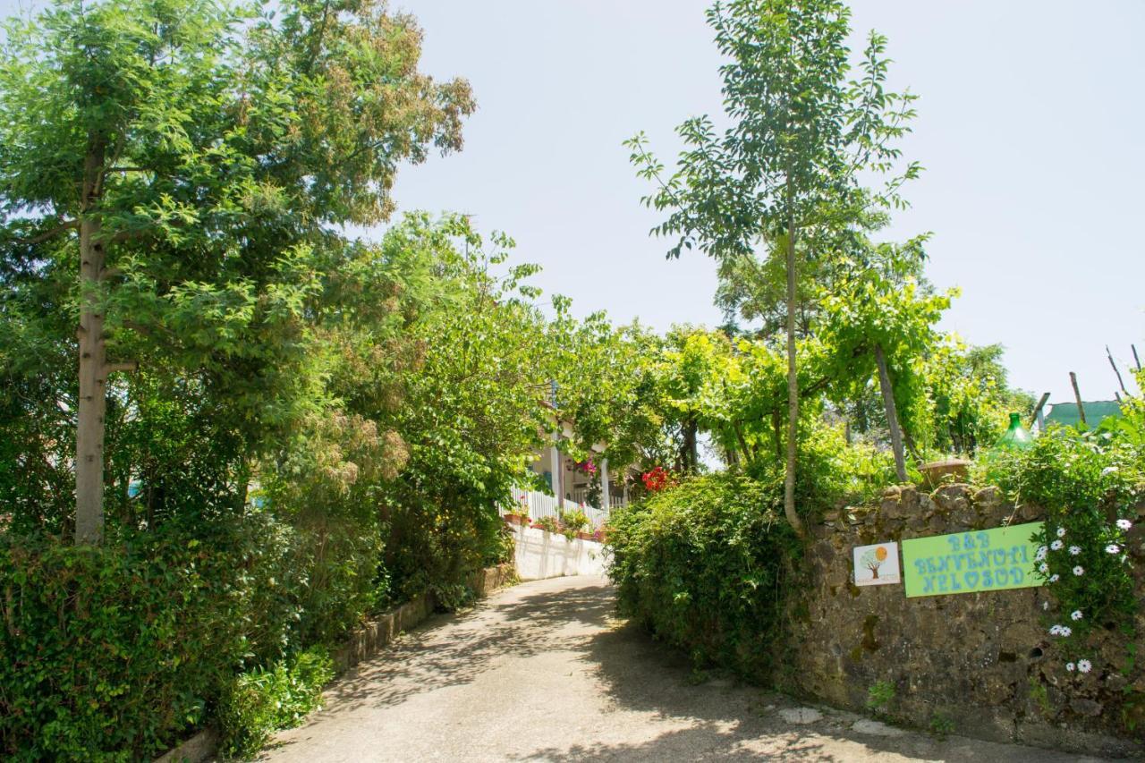 Bed and Breakfast Benvenuti Nel Sud Sessa Cilento Exterior foto